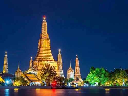 Elephant trunk tusks forest jungle