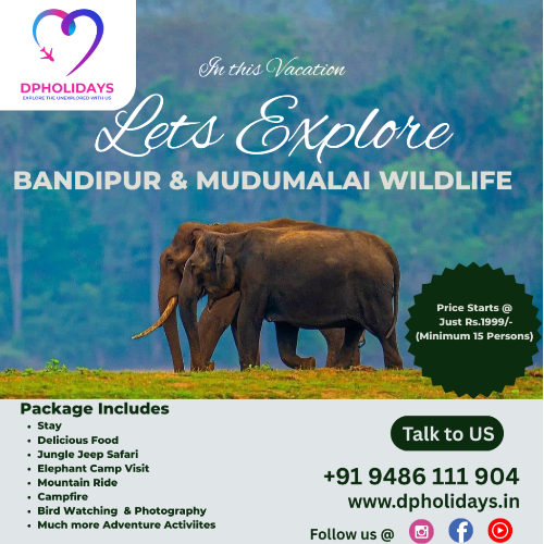 Homepage MainCarousal 4